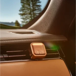 Deodorante Auto Metallo Pine