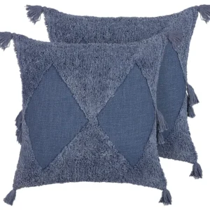 Set di 2 cuscini ricamato cotone blu 45 x 45 cm AVIUM
