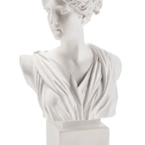 BUSTO RESINA ARTEMIDE CM.53