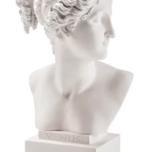 BUSTO RESINA VENERE CM.35