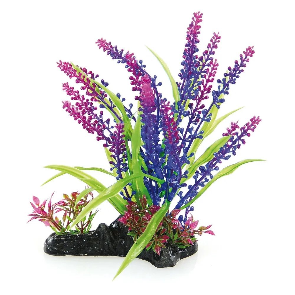 Amazonas Fantasy Plant AB-125, 20 cm verde-blu-viola