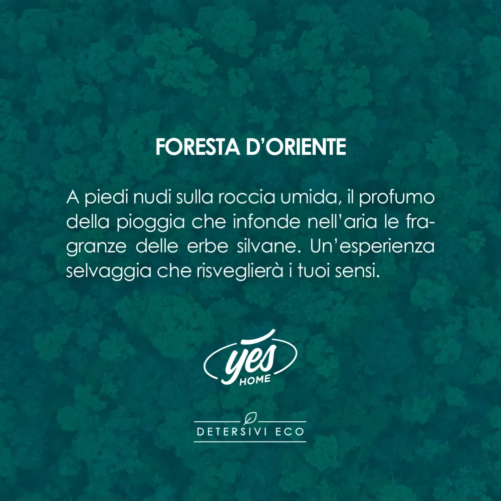 Ammorbidente Plus ECO - Foresta d'Oriente - 1lt