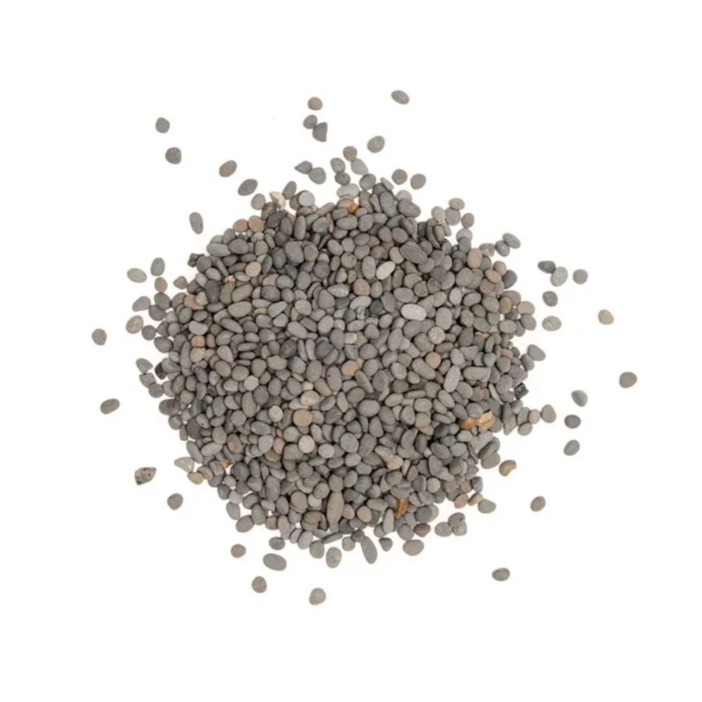 AQPET WILD SAND SABBIA NATURALE 5 KG - NATURAL LAGOON