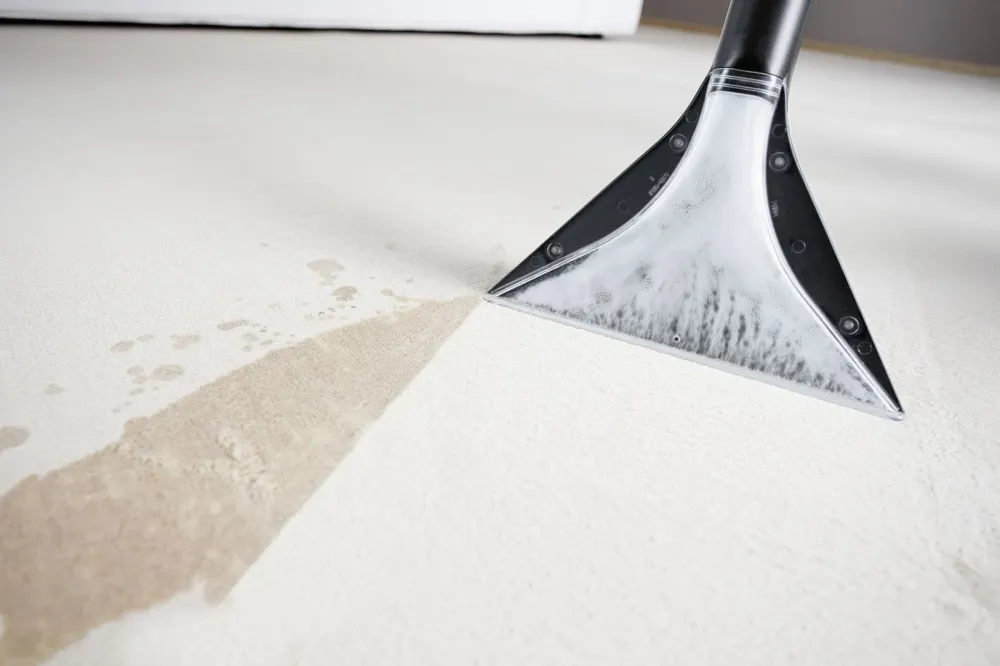 Aspirapolvere SE 4001 PLUS Karcher