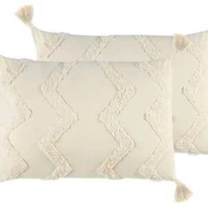 Set di 2 cuscini cotone ricamato sabbia chiaro 40 x 60 cm CERINTHE