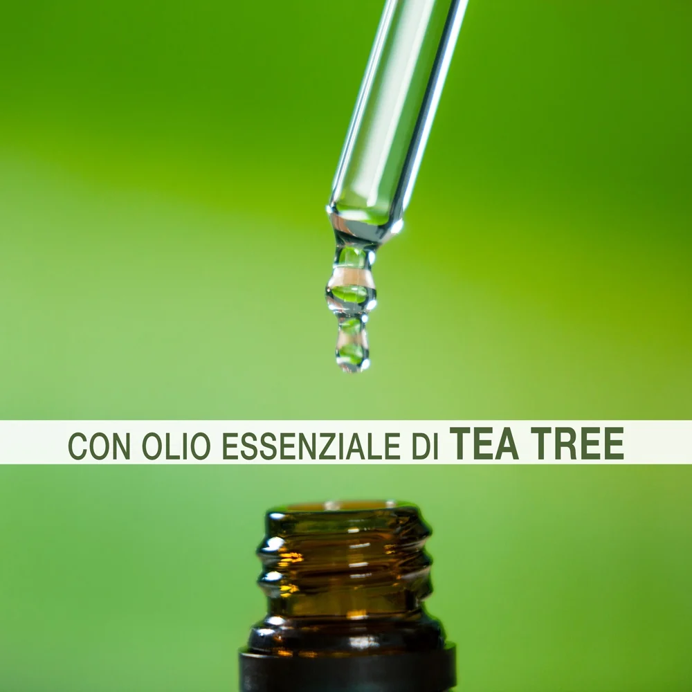 Bag Box Eko Kit Multiuso Igienizzante con Tea tree ecologico