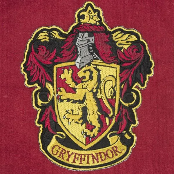 *Grifondoro Banner & Flag Set con Asta Alluminio