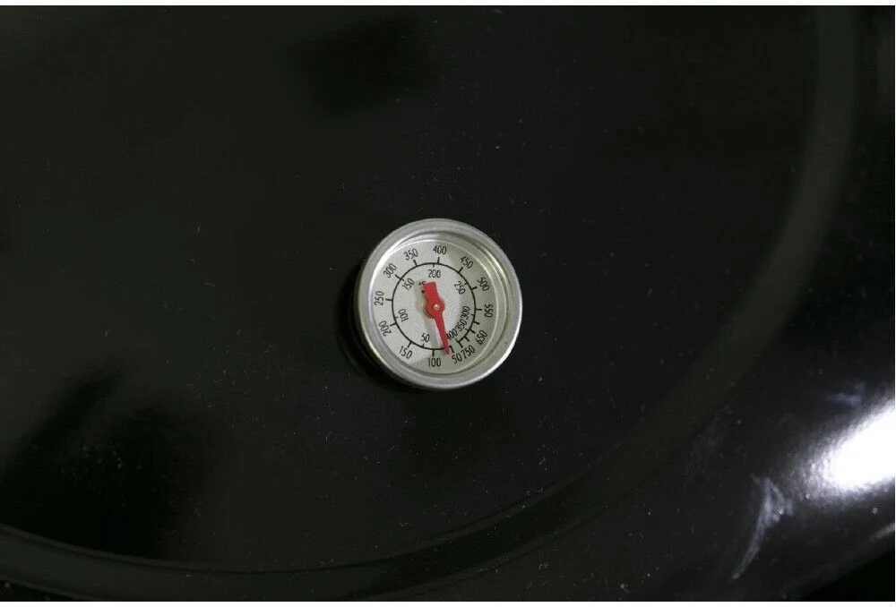 Galileo Barbecue gas 2 bruciatori BBQ coperchio termometro integrato griglia