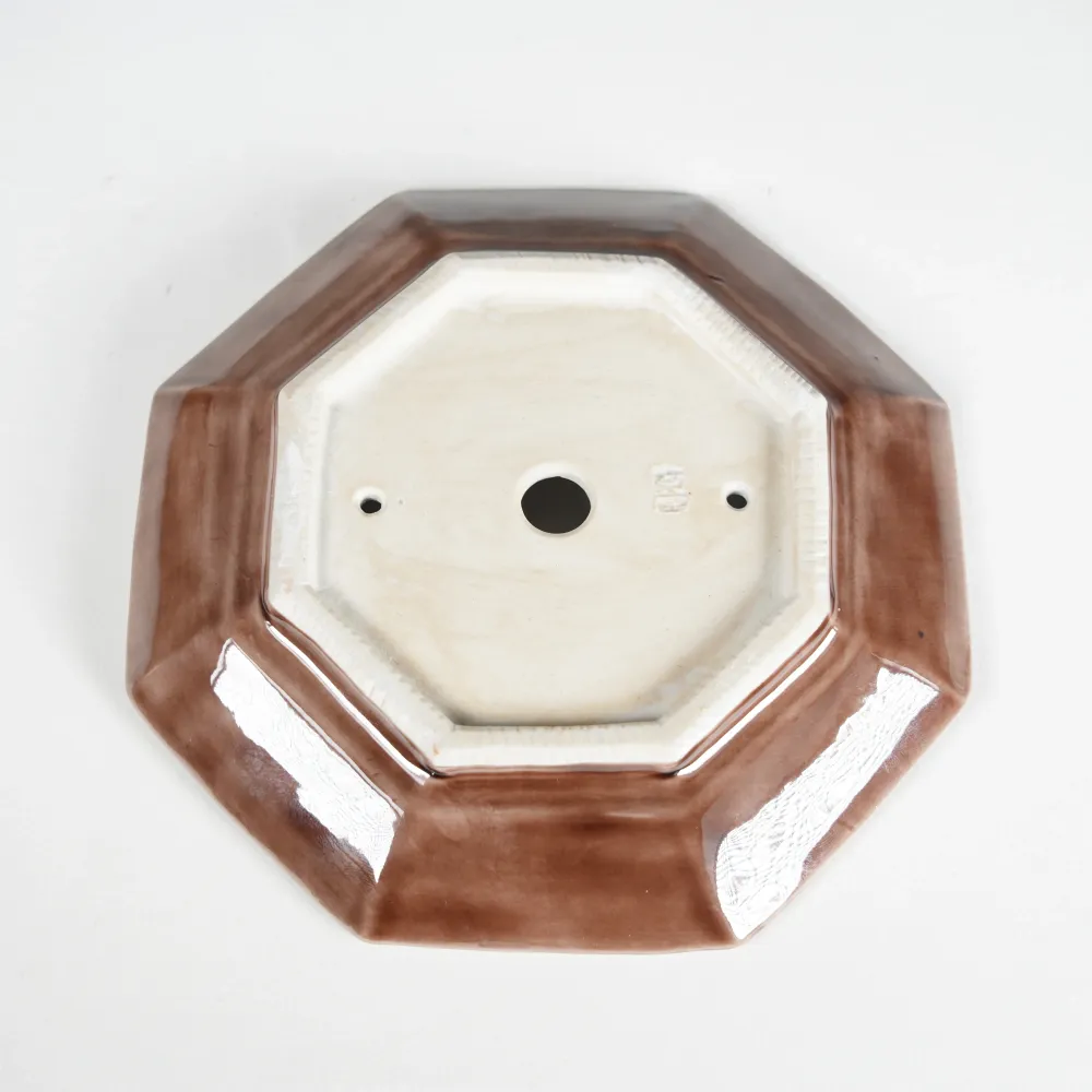 Pelvis viola