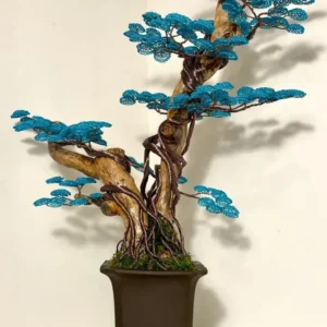 Bonsai B69 (REPLICABILE)