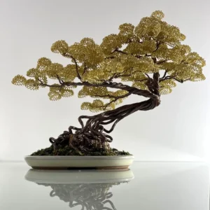 Bonsai E65