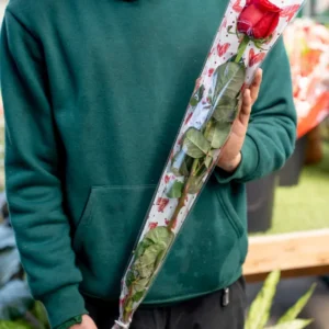 1 Rosa Elite Rossa