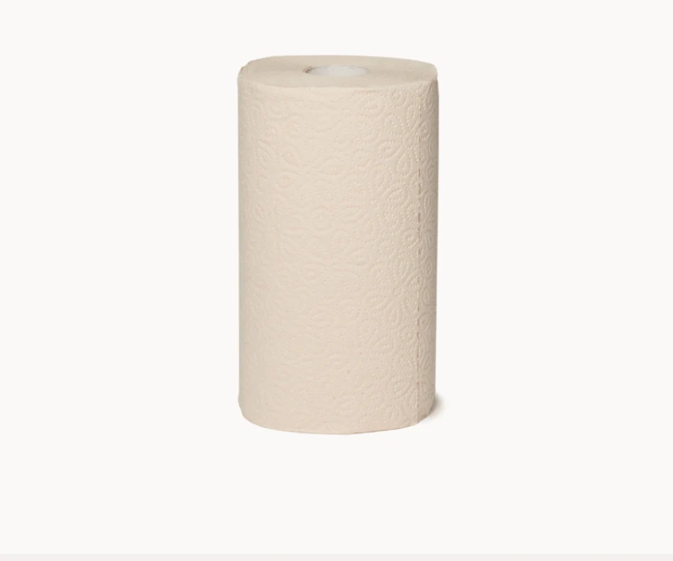 Asciugatutto Eco - 10 maxi rotoli