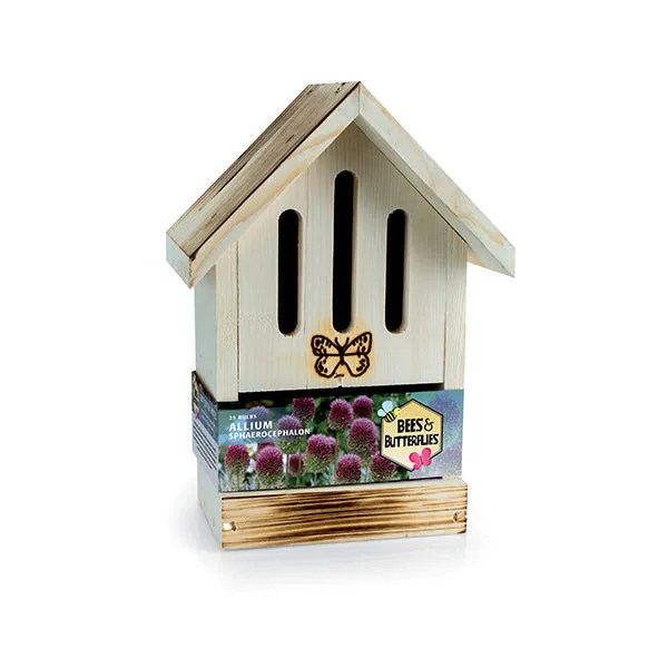 Casetta per Farfalle - Allium Sphaerocephalon