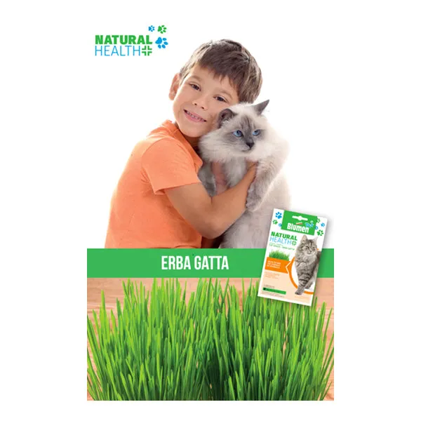 Erba per Gatti