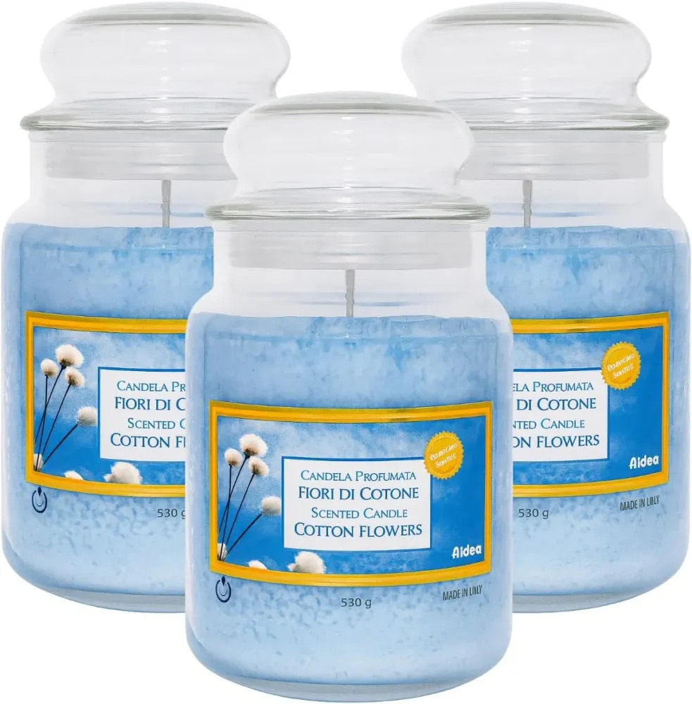 Candela Profumata Giara Vetro 550g Fragranze Naturali FERCASASHOP