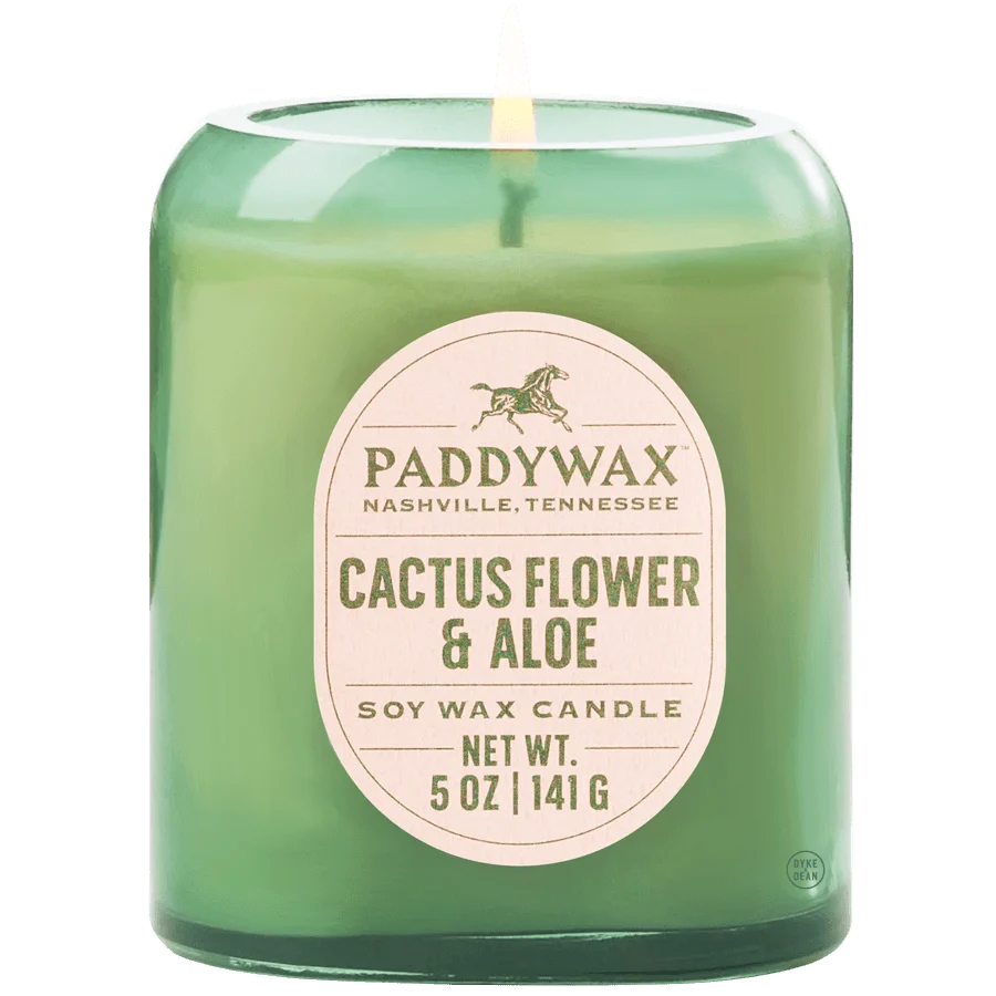 PADDYWAX VISTA CACTUS GREEN GLASS CANDLE CACTUS FLOWER & ALOE
