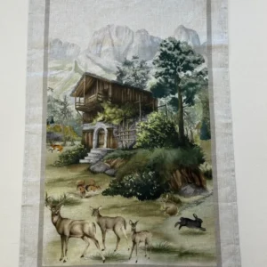 Canovaccio Bosco