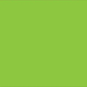 Fogli Elle Erre Verde Pisello 70x100 cm 10 pezzi Fabriano