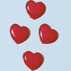 KNORR PRANDELL - CUORE 10MM 4 PZ