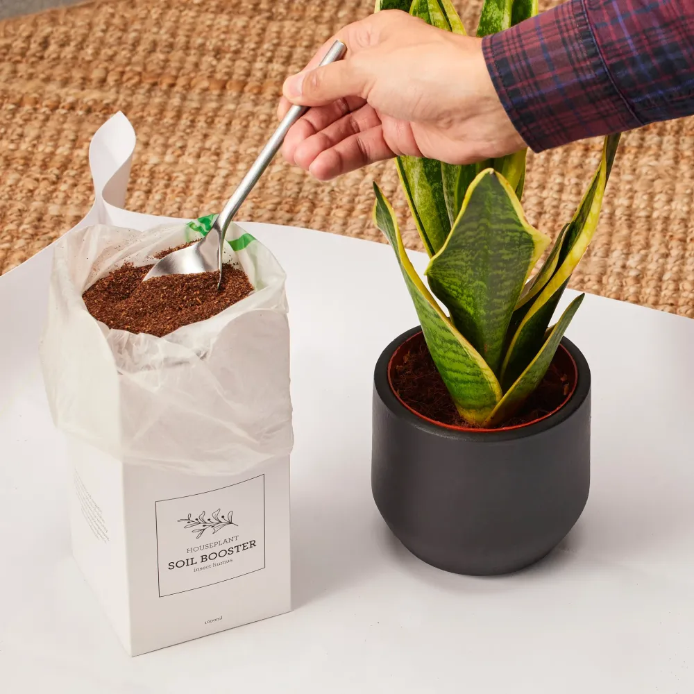 BOOSTER PER IL TERRENO | Fertilizzante Naturale base Di Humus di Lombrico