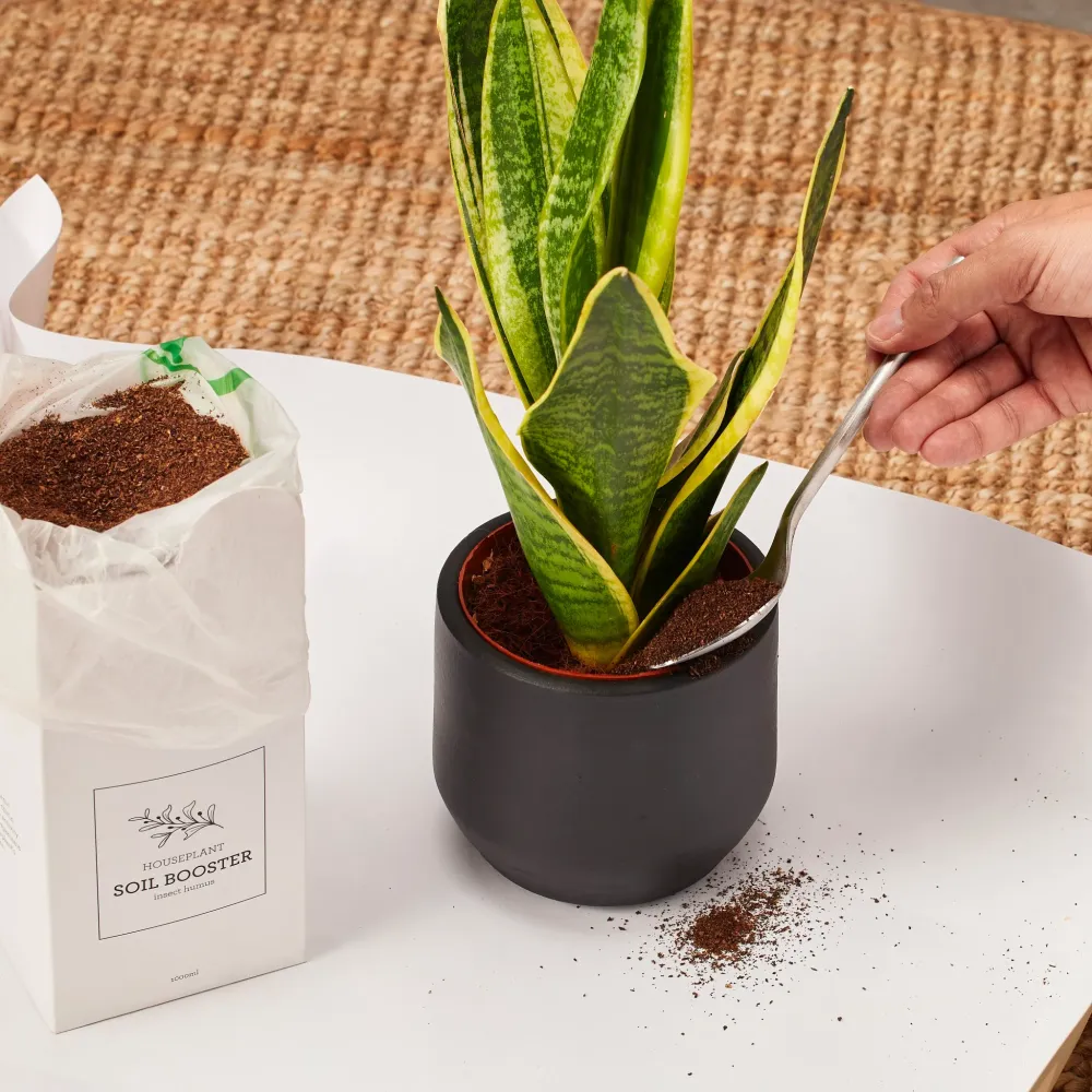 BOOSTER PER IL TERRENO | Fertilizzante Naturale base Di Humus di Lombrico