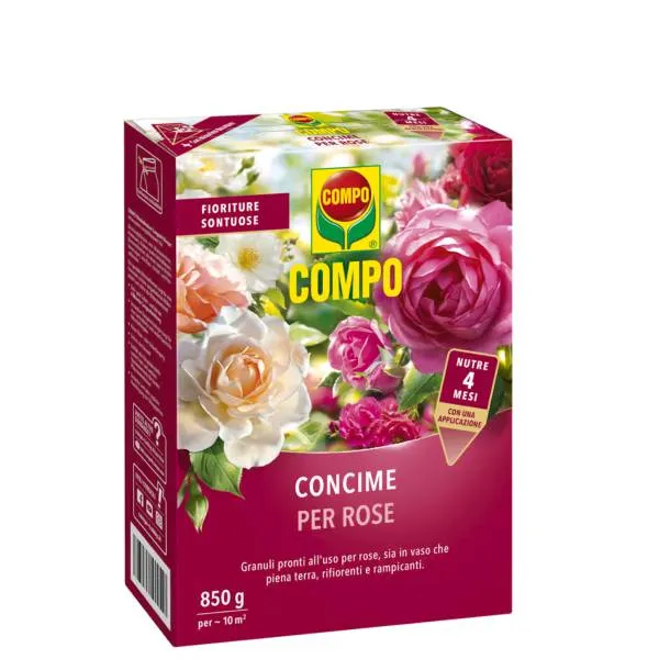 Compo Concime Rose