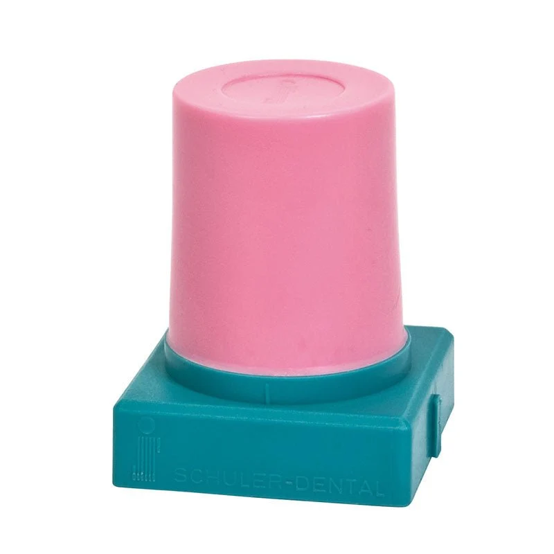 Cera contraversa rosa Schuler - preparazione del modello per duplicato
