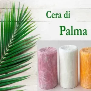 Cera di Palma per Candele Stampi e Contenitori. 1Kg