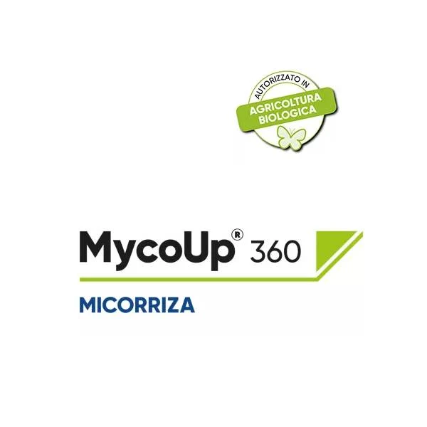 Mycoup 360