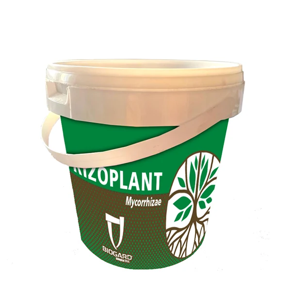 RIzoplant