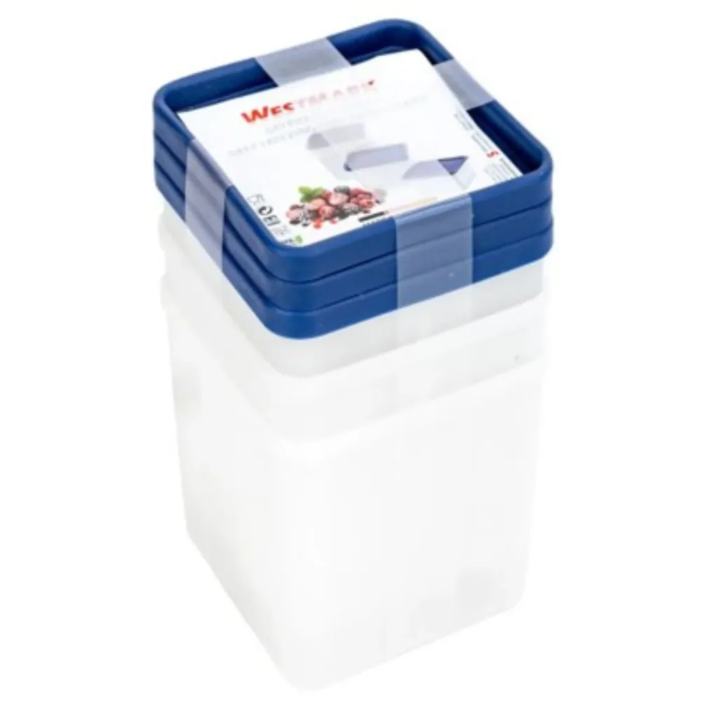 Set 3 contenitori freezer trio 11,3x11,3x12,4cm, 1,25 l