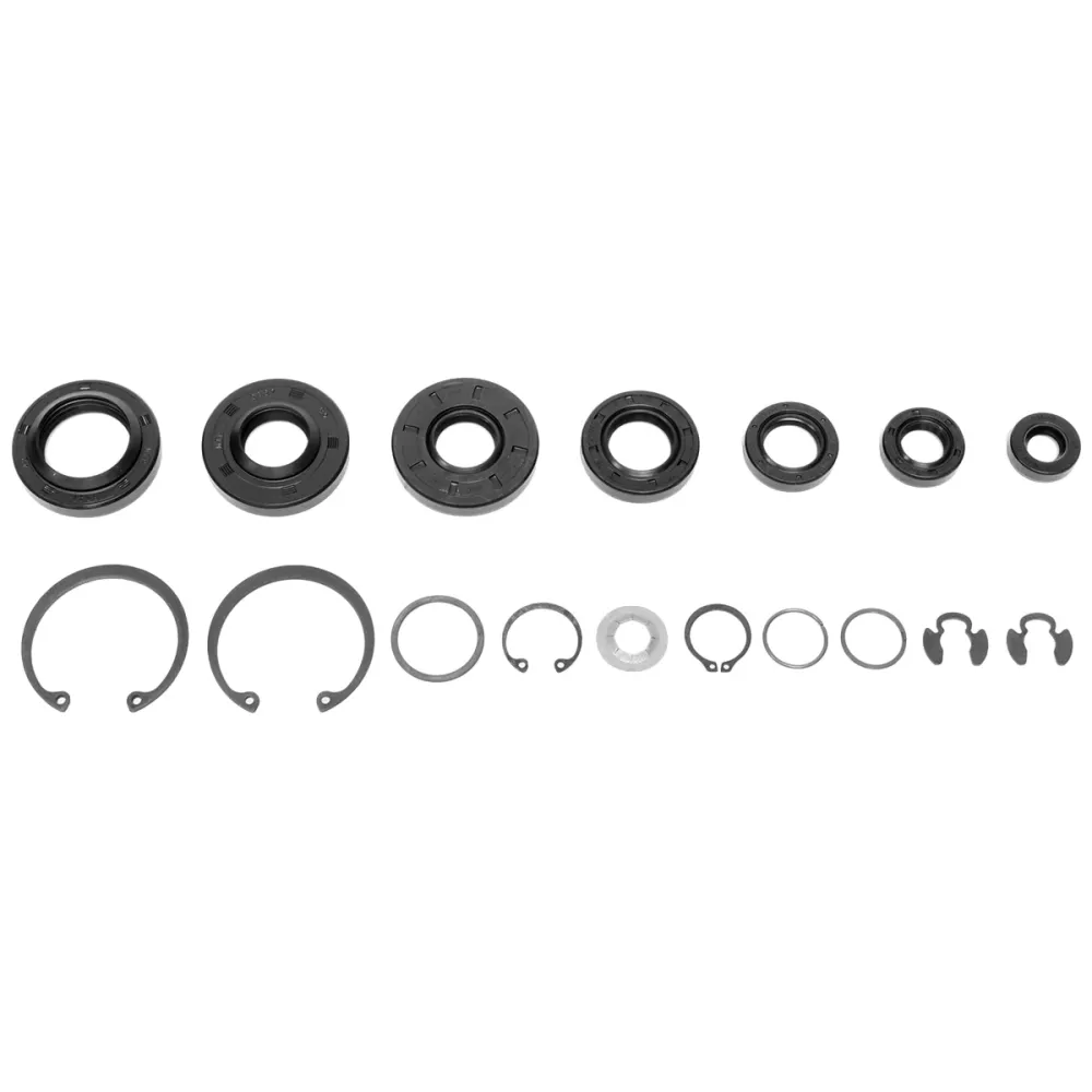 Certificato UV-Resistant Hydro Gear 70853 Seal & Retaining Kit