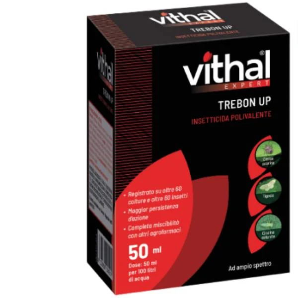 Vithal Expert Trebon Up