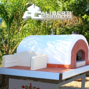 Forno legna con barbecue Salina
