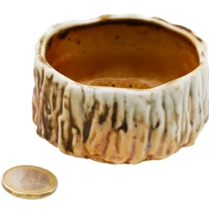 Tazza da tè porcellana di Jingdezhen cotta legna # 93848