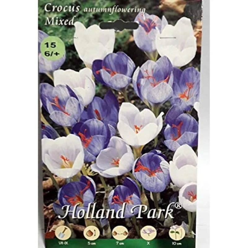 Crocus fioritura Autunnale Mixed da fiore - 15 Bulbi