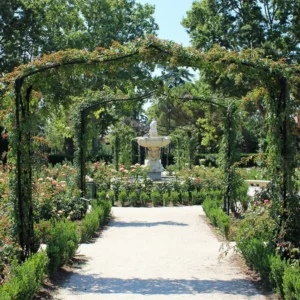 Roseto del Retiro Fine Artic