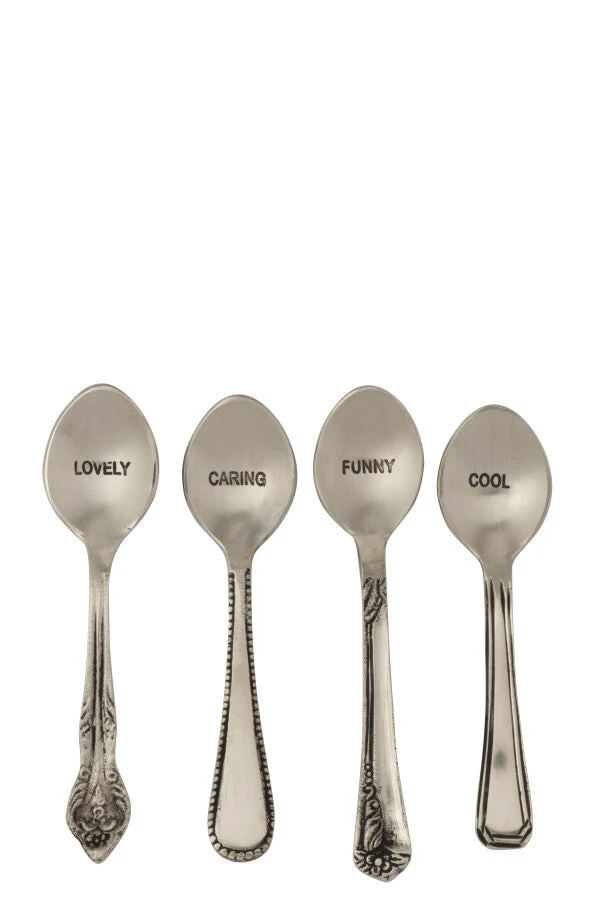 Scatola con 4 Cucchiaini da Dessert Decorativi Acciaio Finitura Argento
