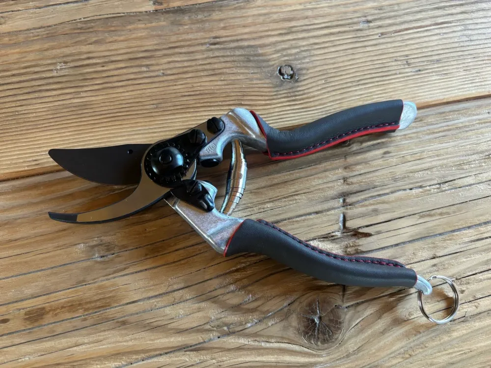 'Le forbici di Paolo' (Felco 8 Elite con manico pelle)