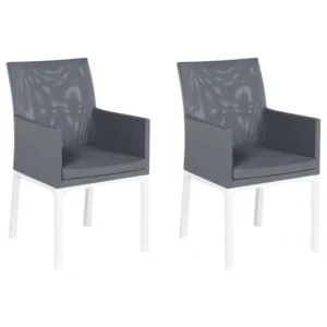 Set di 2 sedie da giardino con cuscini BACOLI Tessuto Grigio fosco
