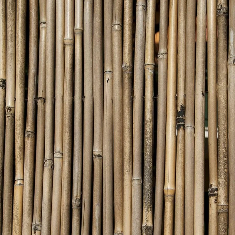 Arella bambù con filo passante Xone
