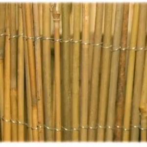 ARELLA BAMBU MT 2 X 3 LEGATA FILO FERRO CANNA CANNUCCIATA PULITA FER 317603