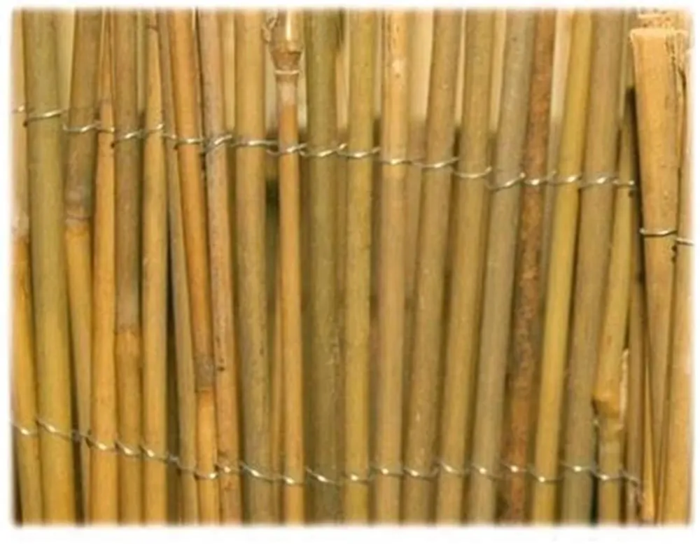 ARELLA BAMBU MT 2 X 3 LEGATA FILO FERRO CANNA CANNUCCIATA PULITA FER 317603