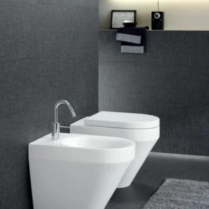 HATRIA - DAYTIME EVO Bidet filo muro_monoforo YQ35