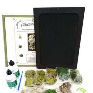 Kit Verde stabilizzato, Quadro rettangolare 30x40