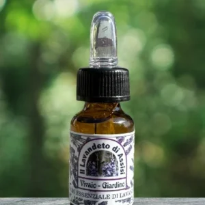 Olio essenziale lavanda. Olio essenziale di lavanda ml 10 Imbottigliato da laboratorio cosmetico. Olio essenziale lavanda...