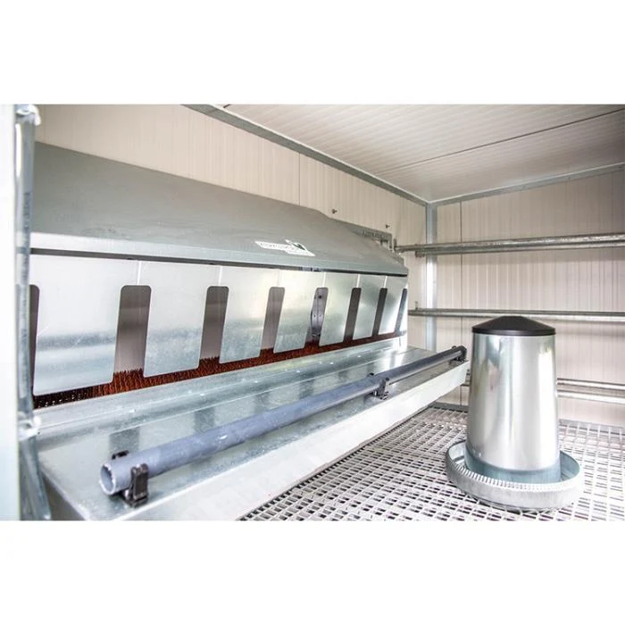 Pollaio Mobile Stradale | 52 Ovaiole Alimentazione filo impianto civile
