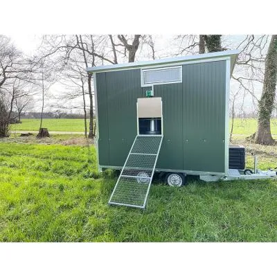 Pollaio Mobile Stradale | 80 Ovaiole Alimentazione filo impianto civile