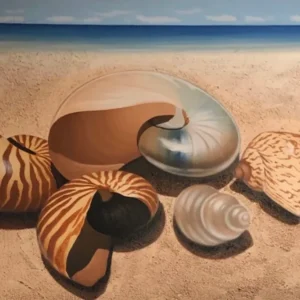 Quadro con conchiglie